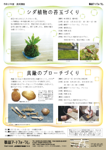 シダ植物の苔玉づくり