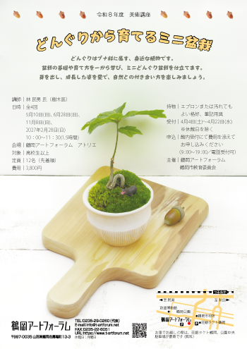 どんぐりから育てるミニ盆栽