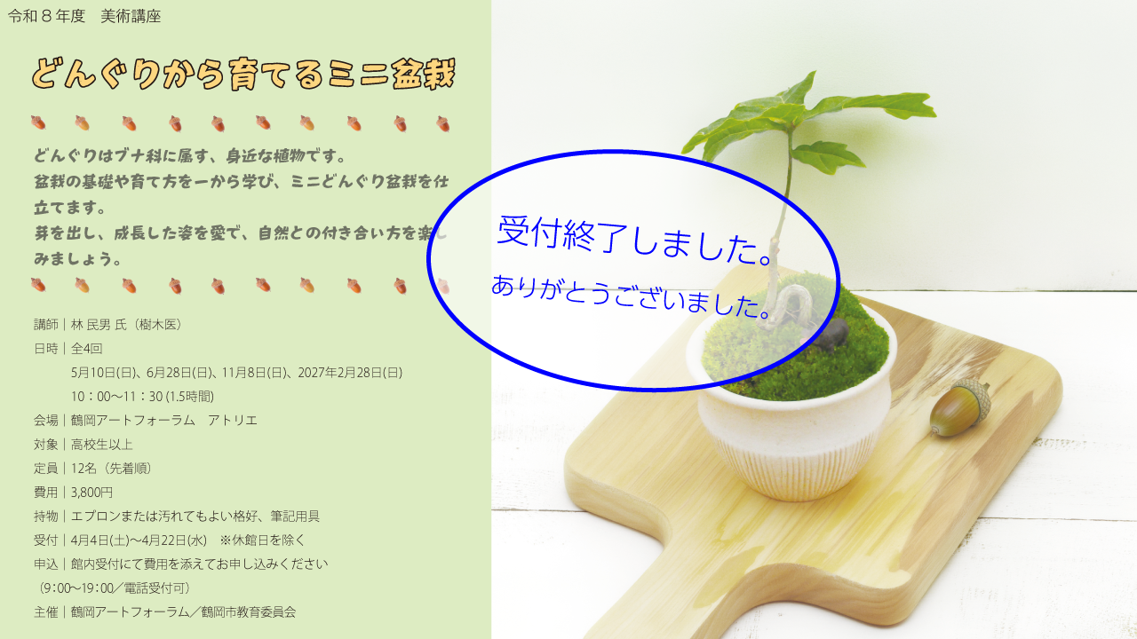 >どんぐりから育てるミニ盆栽